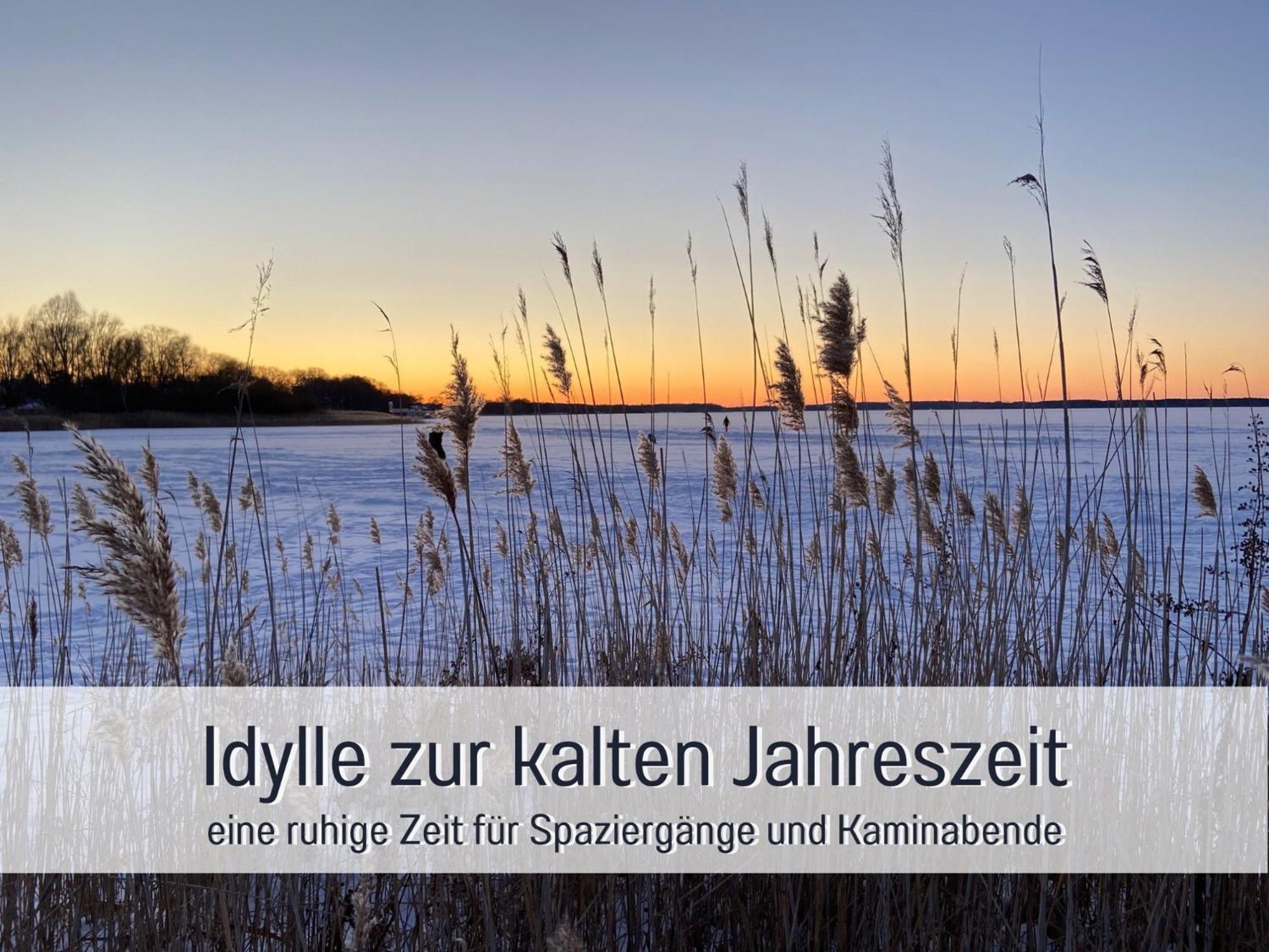 Strandhaus Mathea - Ruhige Lage Direkt Am Fleesensee - Parkplatz, Kamin, Sauna - Familienfreundlich Unter Göhren Екстериор снимка