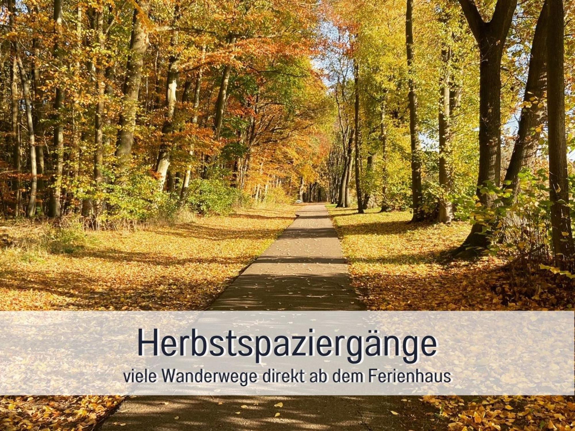 Strandhaus Mathea - Ruhige Lage Direkt Am Fleesensee - Parkplatz, Kamin, Sauna - Familienfreundlich Unter Göhren Екстериор снимка